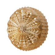 Szklany okrągły jednopunktowy jasno bursztynowy kinkiet osadzony w metalowym uchwycie, RZB Leuchten, Niemcy, lata 70.