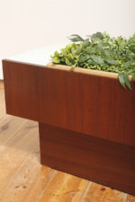 Prostokątny mahoniowy kwietnik/ława/stolik pomocnik/stolik kawowy z dwoma szklanymi białymi blatami i plastikowym wyjmowanym wkładem na kwiaty, Czechosłowacja, lata 70. - obrazek 49